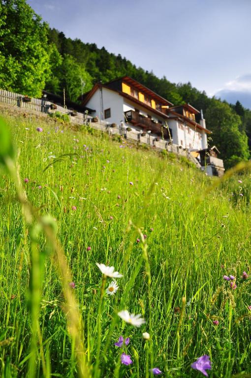 Hôtel Bad St Isidor à Bozen Extérieur photo