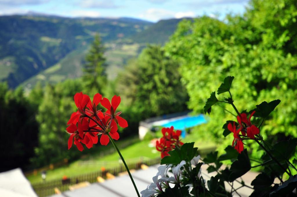 Hôtel Bad St Isidor à Bozen Chambre photo